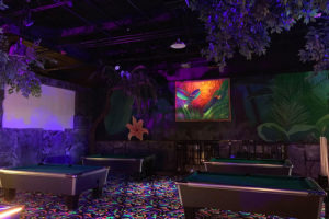 pool tables at Safari Bar & Game Lounge